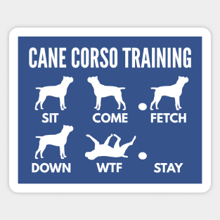 Cane Corso Training Italian Mastiff Tricks Magnet